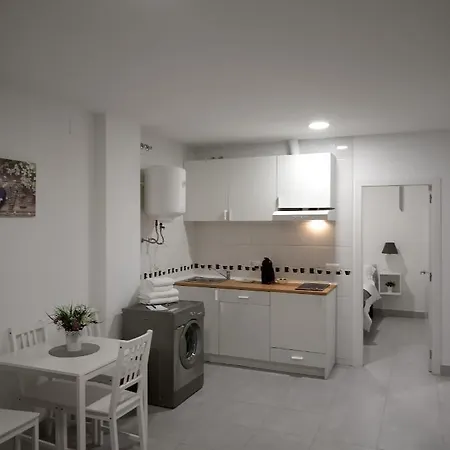 Camino Suarez 2 Apartment Malaga